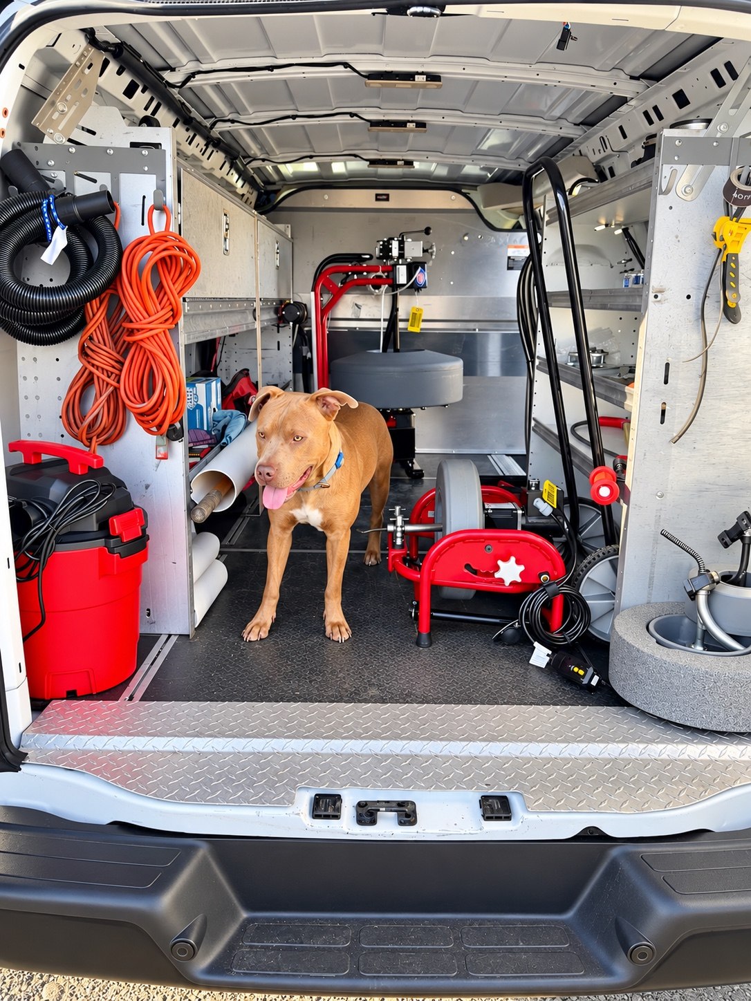 The family dog standing inside the equipped Just Drains service van